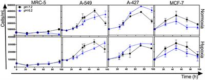 Lactic Acidosis in the Presence of Glucose Diminishes Warburg Effect in Lung Adenocarcinoma Cells